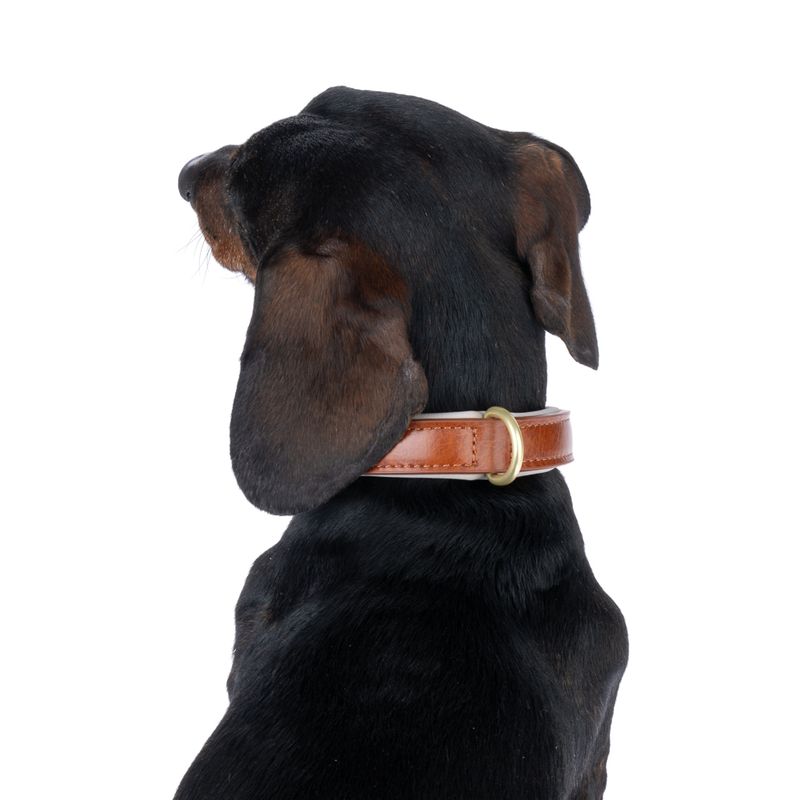 TIAKI Padded Collar - Brown Extra Small: approx. 25 - 31cm (Neck Circumference)