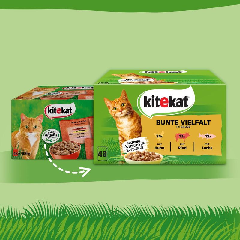 Kitekat Variety Pouches Saver Pack 48 x 85g Classic Selection in Gravy