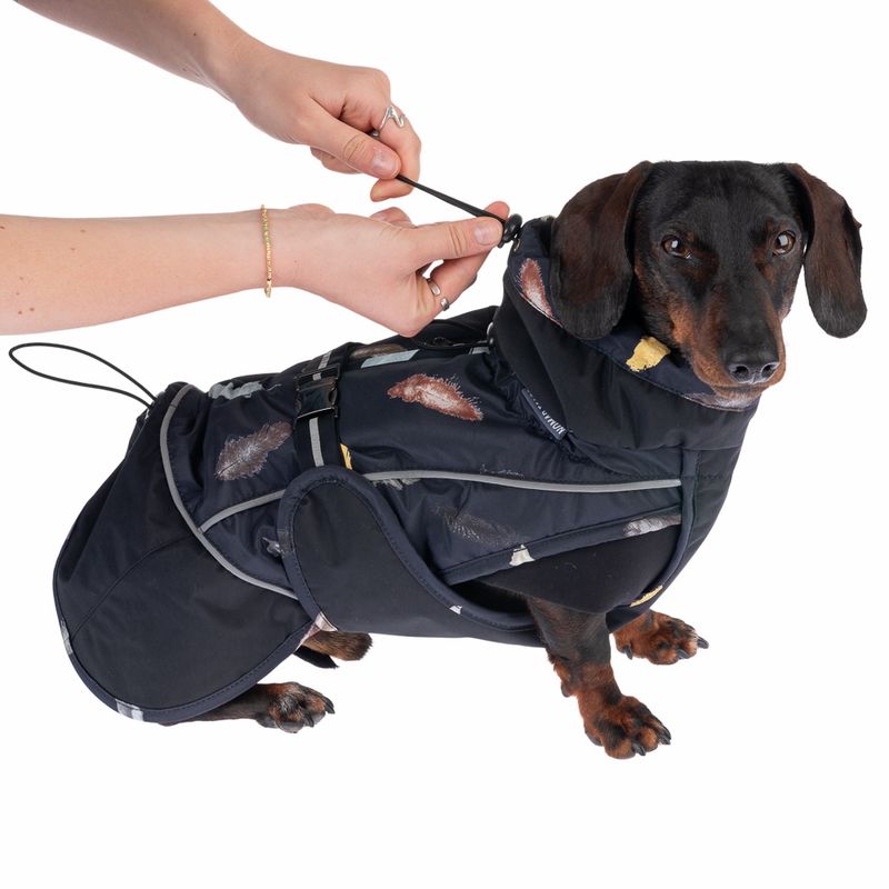 Nomad Tales Bloom Dog Coat - Midnight approx. 50cm Back Length