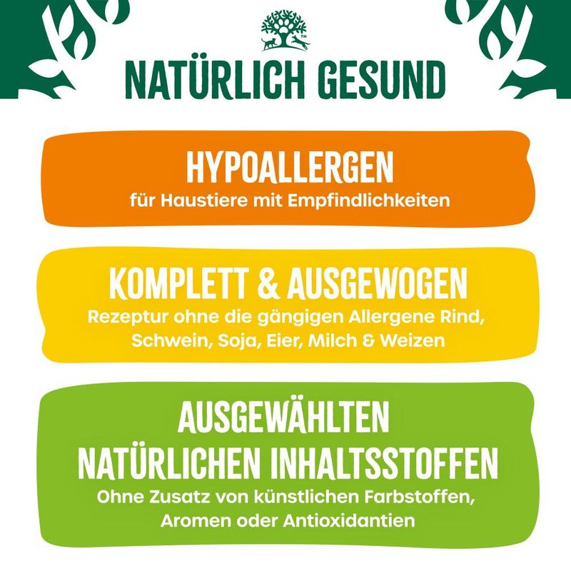 James Wellbeloved Adult Dog Hypoallergenic Turkey with Vegetables in Gravy 12 x 90g