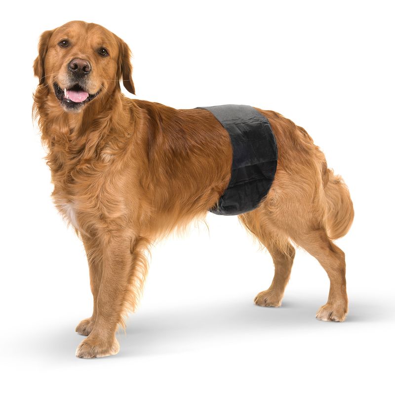 Savic Nappies for Male Dogs Size XS: 20-26cm - 12 nappies