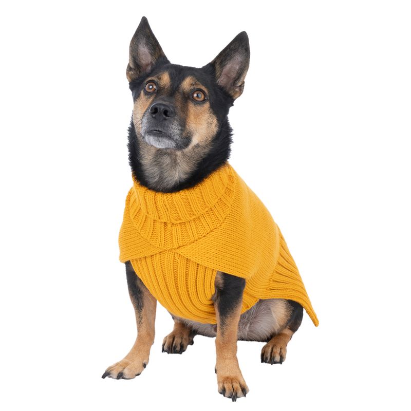 TIAKI Gold Dog Jumper approx. 35cm (Back Length)