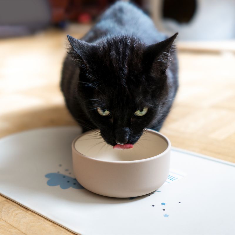 TIAKI Premium Silicone Bowl - Sand 350ml (11cm diameter)