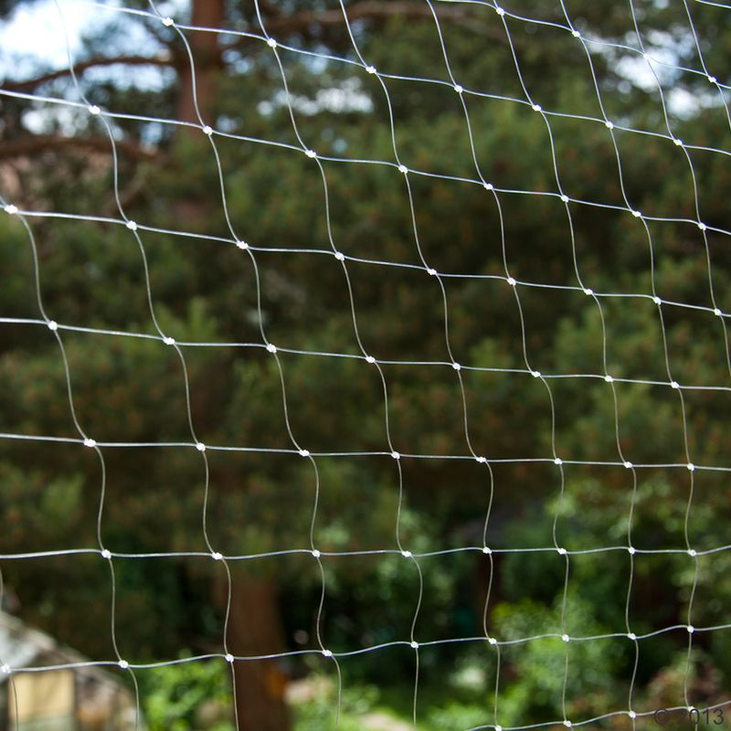 Cat Safety Net - Transparent 2 x 1.5 m