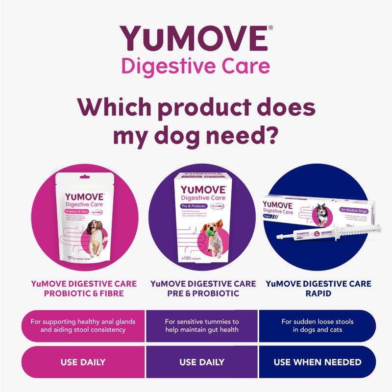 YuMOVE Digestive Care Pre- & Probiotic 120 Tablets