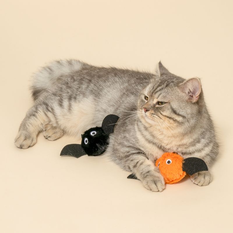 TIAKI Halloween Bat Cat Toy Set Set of 2