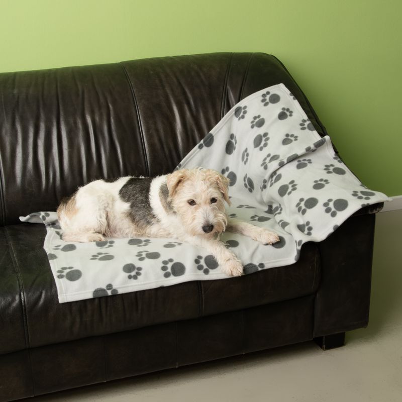 Pawty Fleece Blanket 100 x 70cm (L x W)