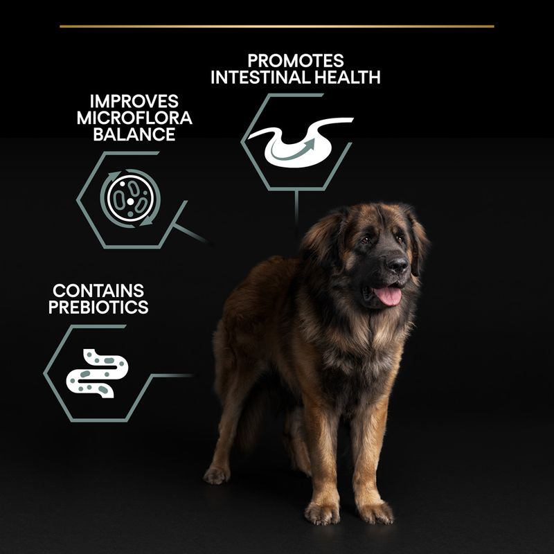 PURINA PRO PLAN Adult Large Adult Robust Lamb & Rice Sensitive Digestion 14kg