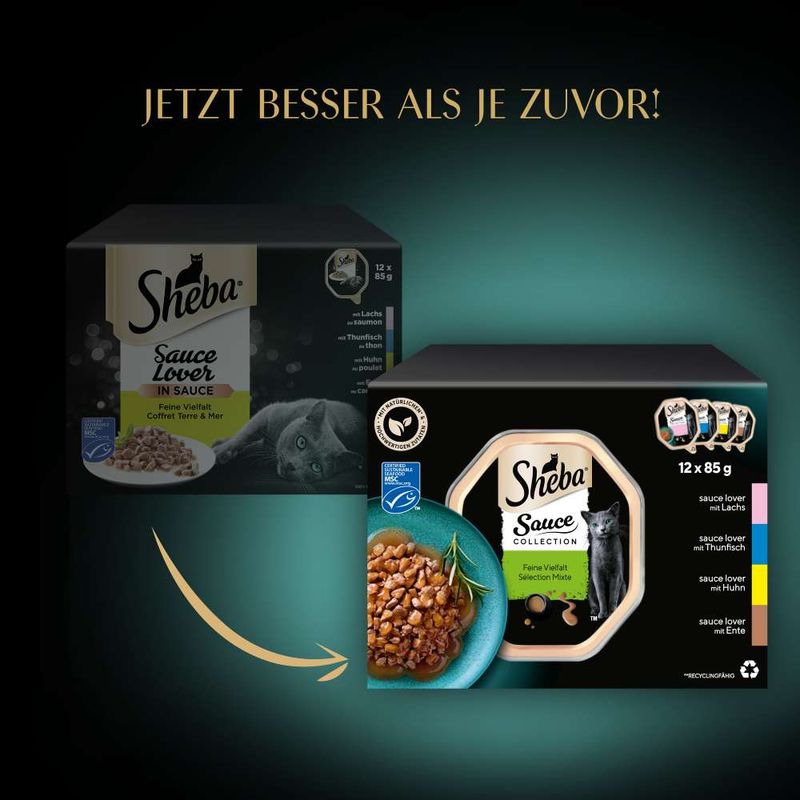 Sheba Varieties Multipack 12 x 85g Ocean Collection Classics in Terrine