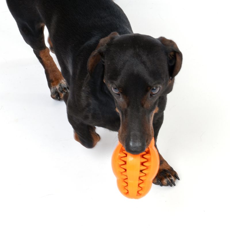 TIAKI Rugby Treat Dog Toy 10.5 x 7.5cm (L x Diameter)