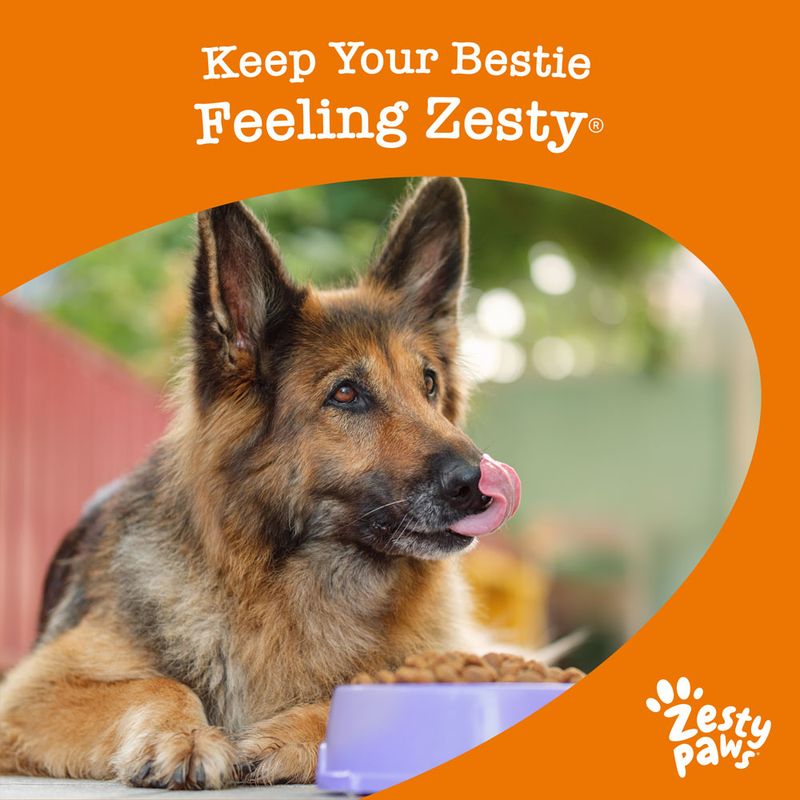 Zesty Paws Senior Allergy & Immunity Skin & Immune Support - Salmon 50 Chews