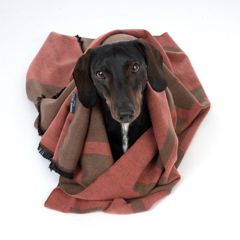 Nomad Tales Bloom Coral Cuddle Blanket 140 x 80 cm (L x W)