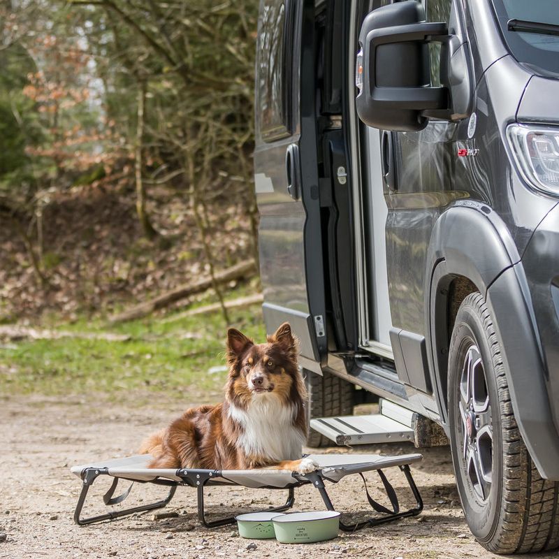 Trixie Dog Lounger 120 x 70 x 19cm (L x W x H)