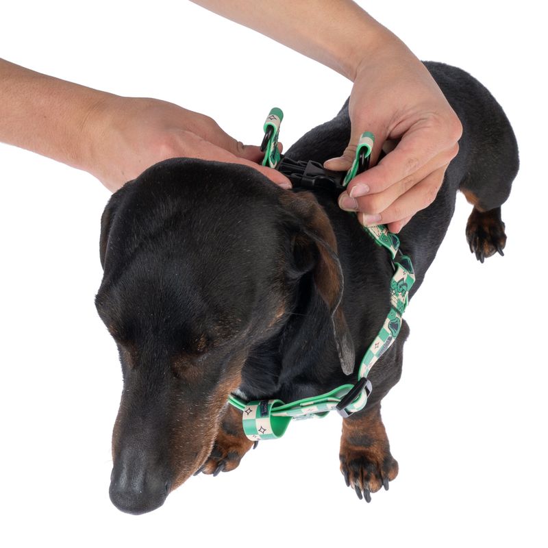 Harry Potter Slytherin Harness - Green Size S: Chest Circumference 39 - 51 cm