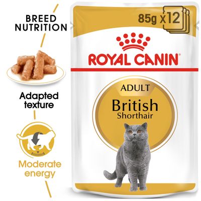 Royal Canin British Shorthair Adult in Gravy 12 x 85g