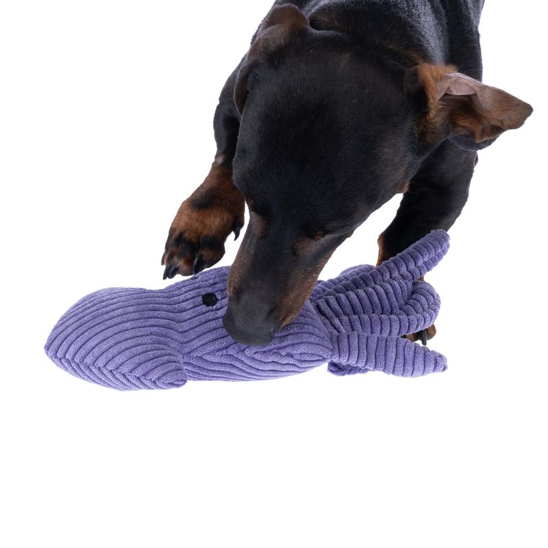 TIAKI Hook Corduroy Squid Dog Toy approx. 29 x 12 x 5 cm (L x W x H)
