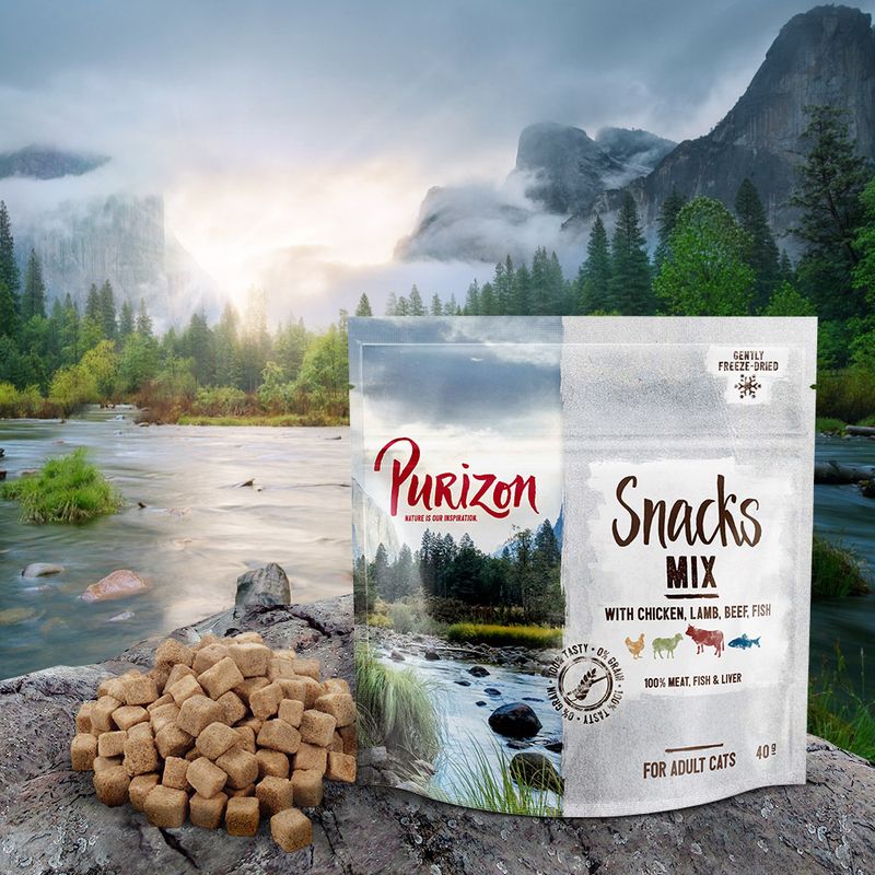 Purizon Cat Snacks Grain-Free Saver Pack 3 x 40g Mix