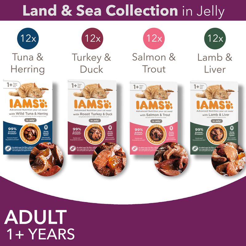 IAMS Advanced Nutrition Adult – Land & Sea Collection in Jelly (12 x 85g)