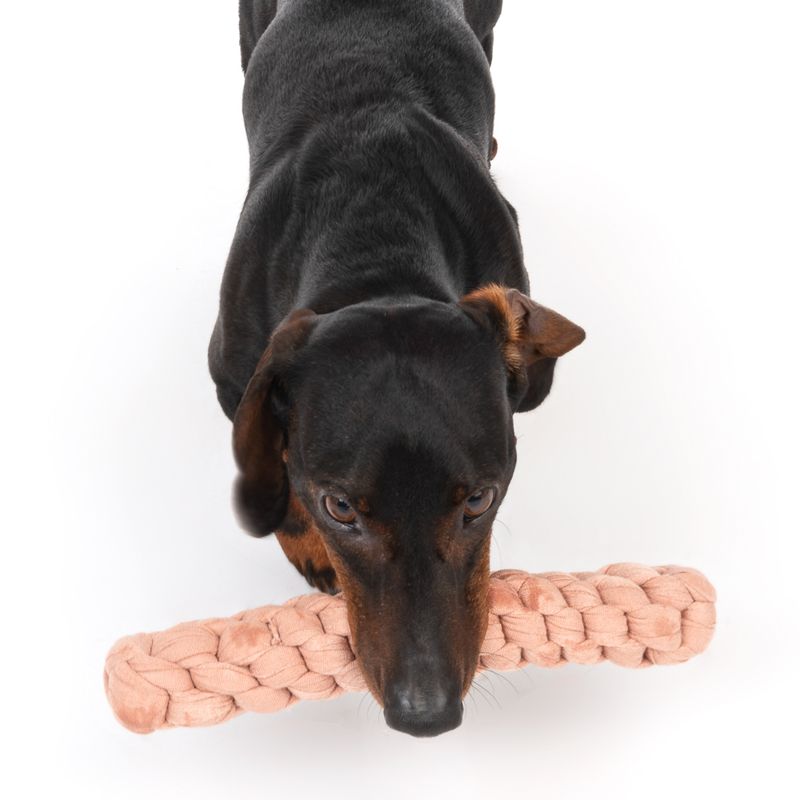 Modern Living Tarifa Dog Toy 4 x 24.5cm (diameter x L)