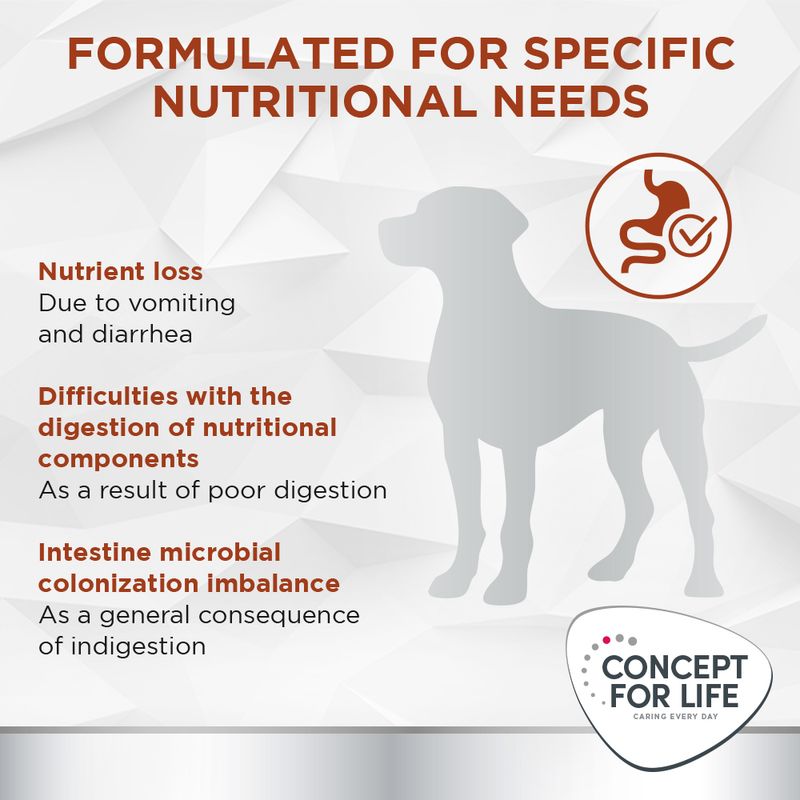 Concept for Life Veterinary Diet Gastrointestinal 6 x 400g