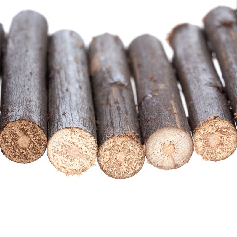 Hanging Bridge for Small Pets size: 55 x 7 cm