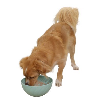Kerbl Pet Licking Bowl - Turquoise 20.5 x 11cm (W x L)