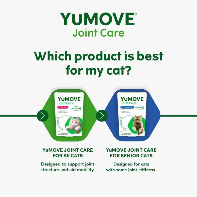 YuMOVE Joint Care for Senior Cats 60 Capsules
