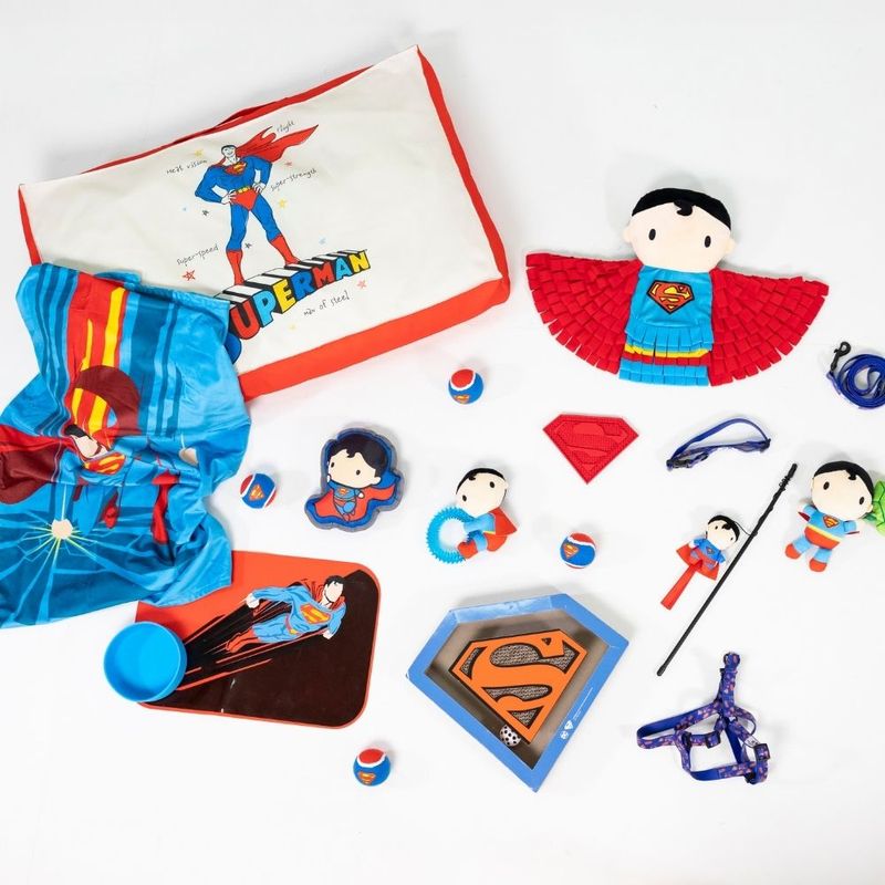 DC Superman Collar - Blue Size S: Neck Circumference 25 - 36 cm, Width 20mm