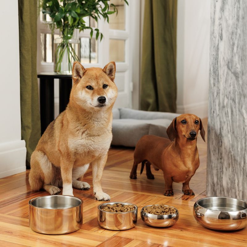 Modern Living Lhasa Double-walled Premium Bowl 1.2 Litres (diameter 19.3cm)