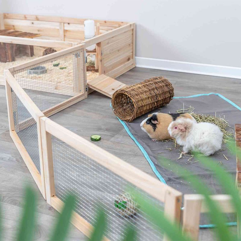 Trixie Indoor Free Run Enclosure for Guinea Pigs 60 x 30cm (L x H), 4 elements