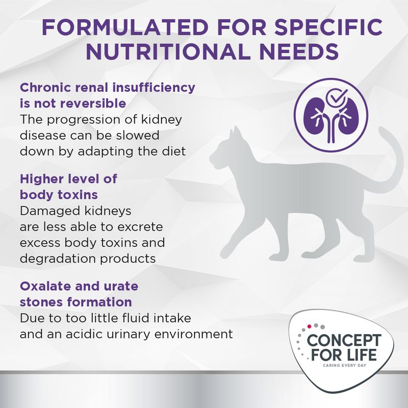 Concept for Life Veterinary Diet Renal Chicken 6 x 200g