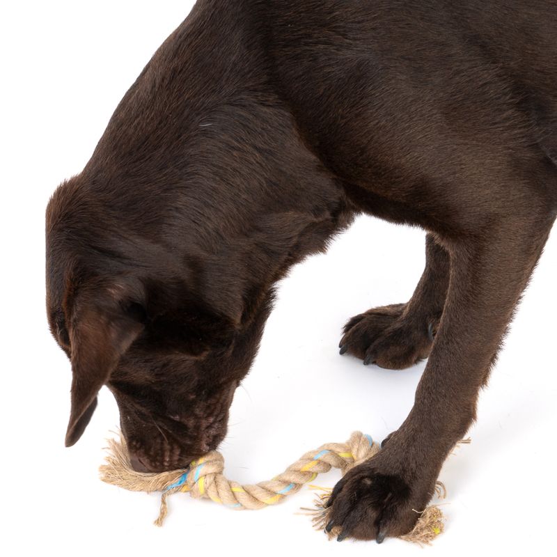 Modern Living Menorca Double Knot Rope Toy approx. 32 x 5 x 5cm (L x W x H)