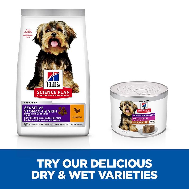 Hill's Science Plan Sensitive Stomach & Skin Small & Mini Mousse Turkey (12 x 200g)