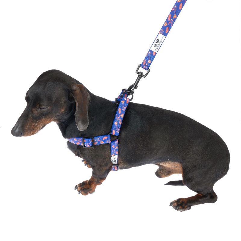 DC Superman Harness - Blue Size S: Chest Circumference 39 - 51 cm