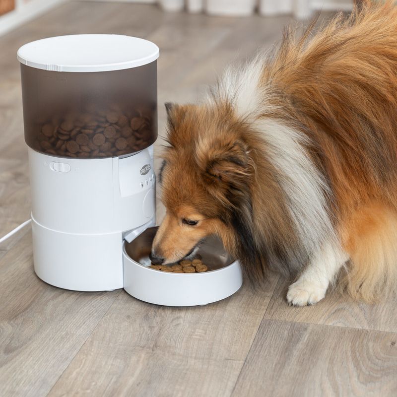 Trixie TX-S Smart Automatic Feeder Up to 3 Litres of Dry Food - White