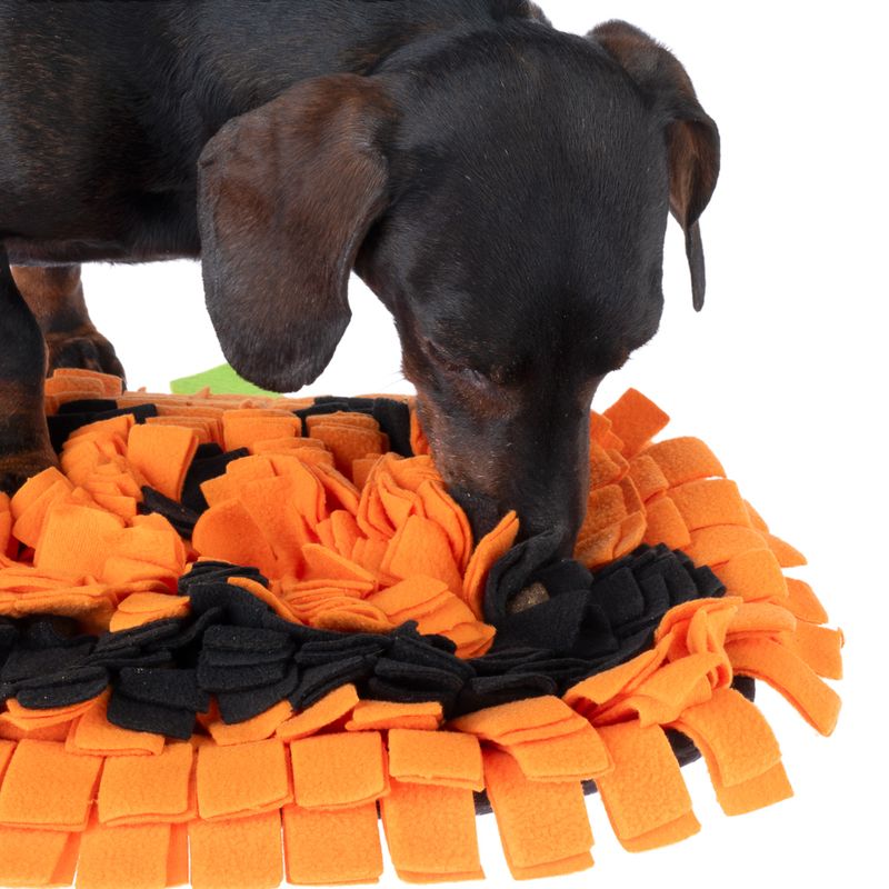 TIAKI Pumpkin Sniffing Mat 40 x 36 x 3cm (L x W x H)