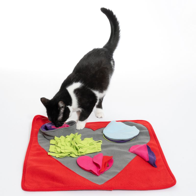 TIAKI Heart Sniffing Mat 50 x 50 cm (L x W)