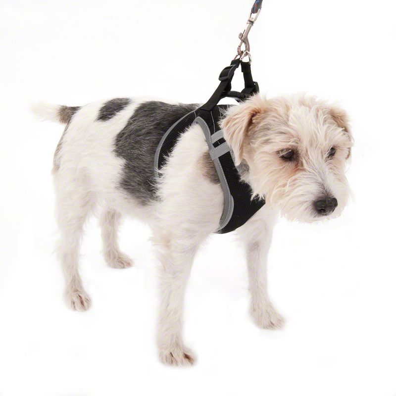 Feel Free Soft Dog Harness XS