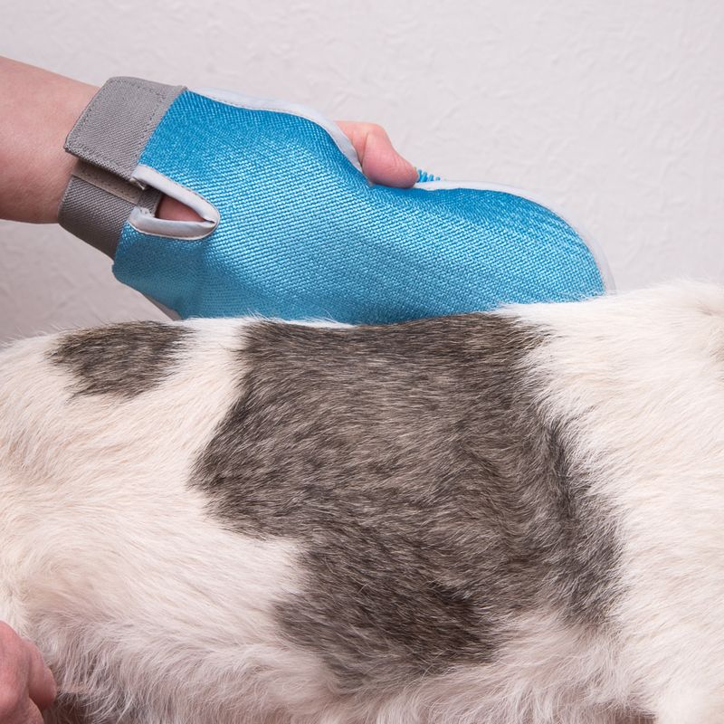 Double-Sided Wellness Glove 1 Glove