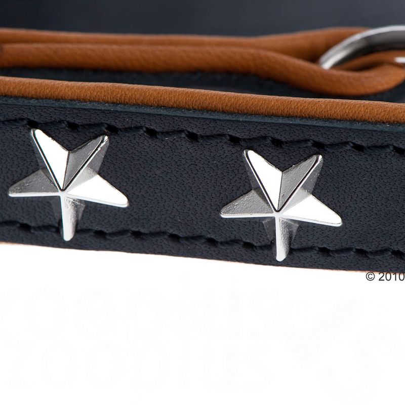 Heim Leather Lead & Collar Set - Stars Set 1