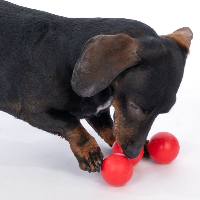 zooplus Basics Rubber Balls for Dogs Set of 3