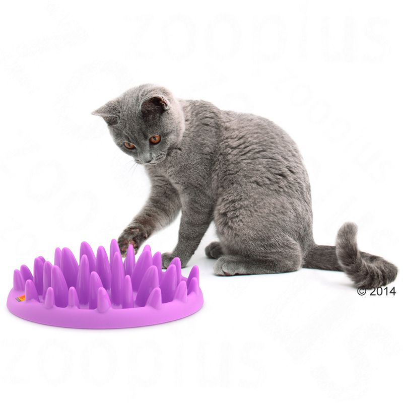 NORTHMATE ® Catch Cat Feeder 1 Bowl