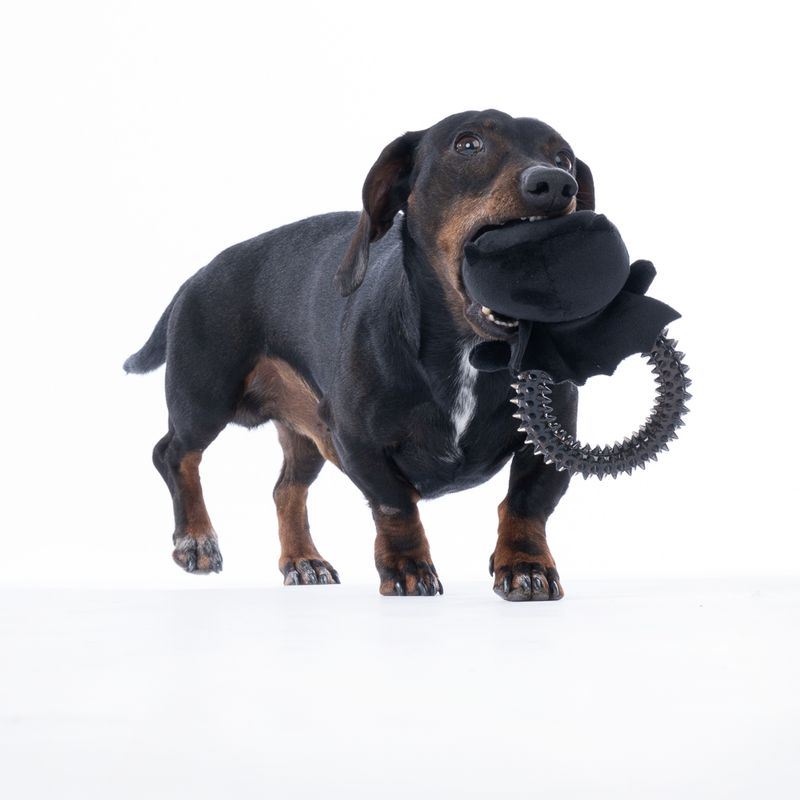 Batman with Ring Dog Toy approx. 19 x 14 x 5cm (L x W x H)