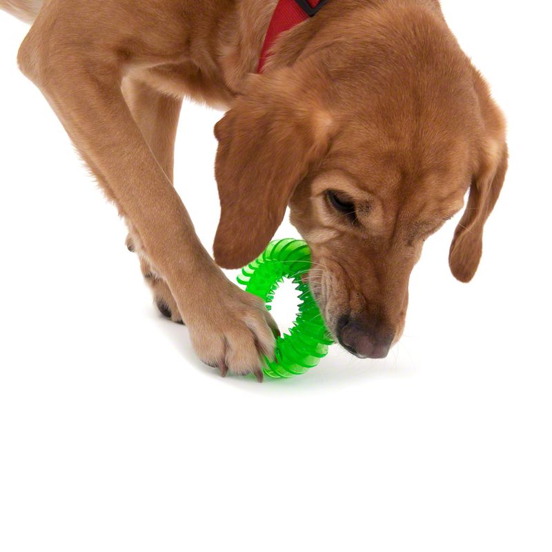 Thermoplastic Rubber Ring Dog Toy approx. Diameter 11.5cm