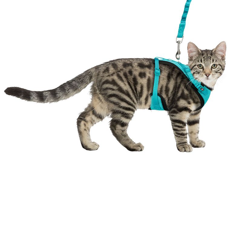 Trixie Mesh Y-Harness with Elastic Leash turquoise
