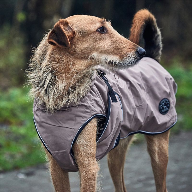 HUNTER Uppsala Dog Coat approx. 40cm Back Length