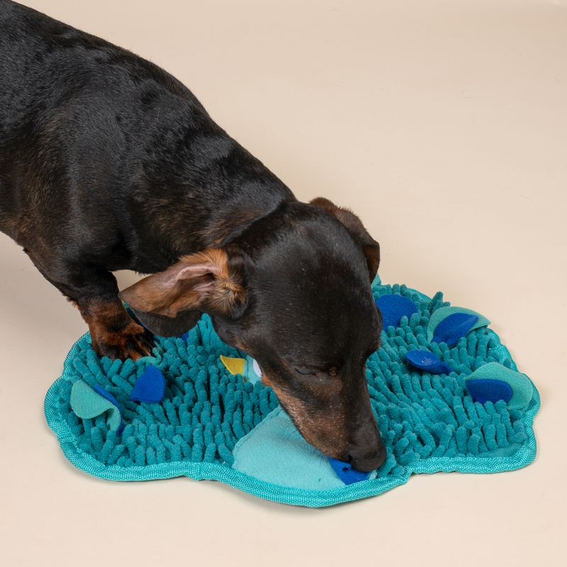 TIAKI Peacock Sniffing Mat 36 x 31 x 1 cm (L x W x H)