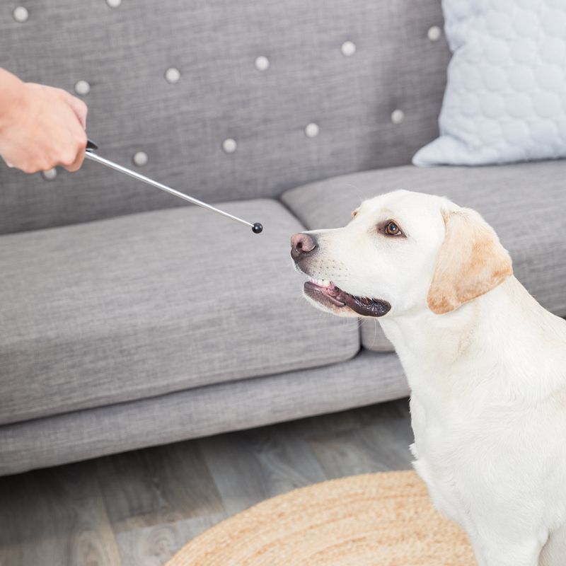 Trixie Target Stick 1 Clicker Stick