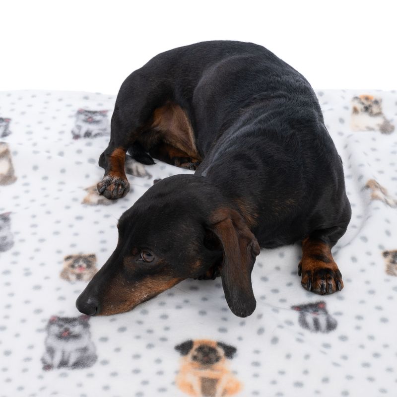 zooplus Basics Dogs & Dots Fleece Cuddle Blanket 100 x 70 cm (L x W)