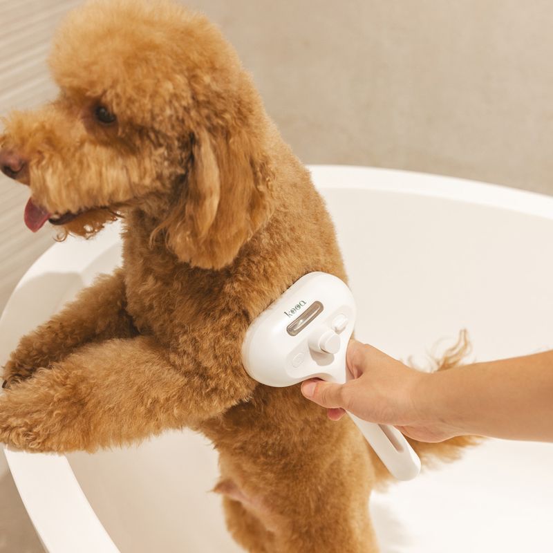 kooa Steam Brush 20 x 12 x 7cm (L x W x H)